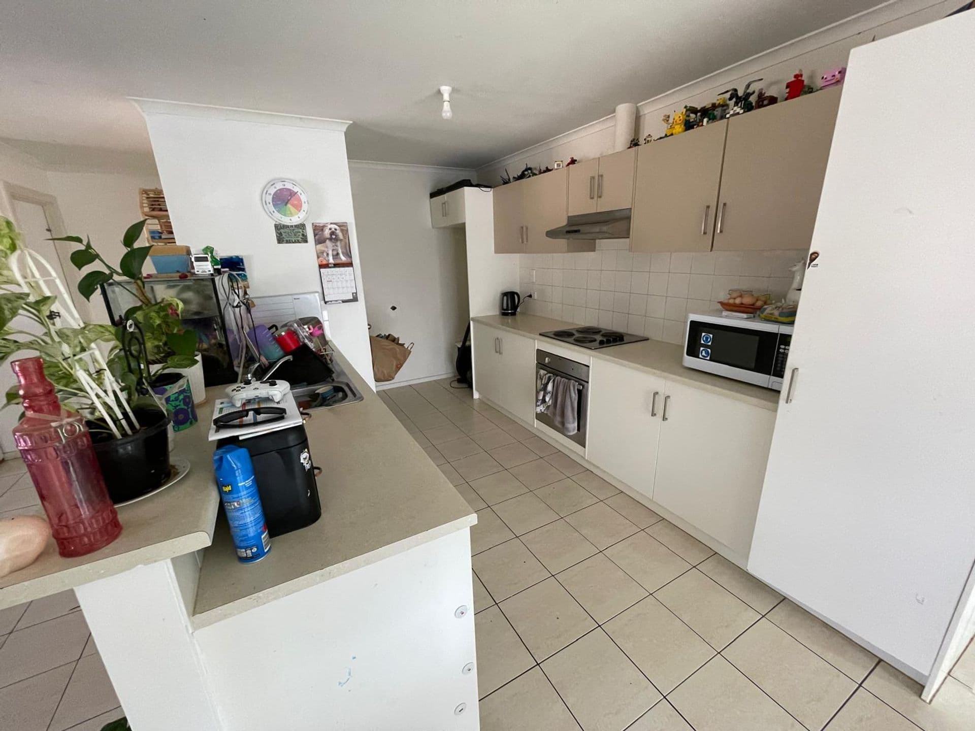 28 May Street, Port Pirie, SA, 5540, Port Pirie - Thumbnail 2