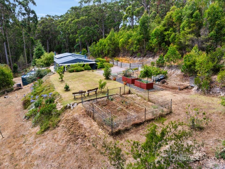 38 Crawford Road, PENGUIN, Penguin - Thumbnail 4