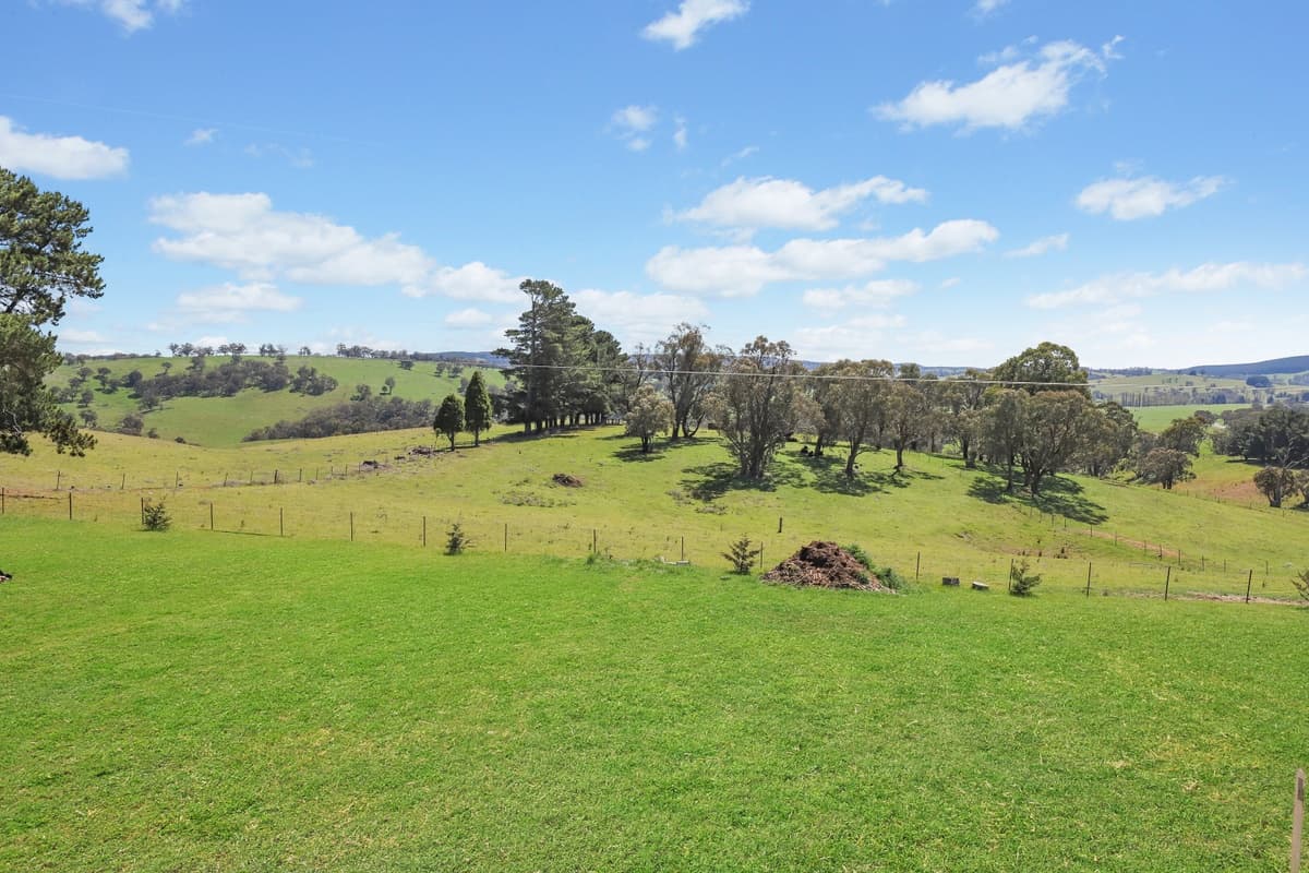 260 Curly Dick Road, Meadow Flat, Meadow Flat - Thumbnail 2