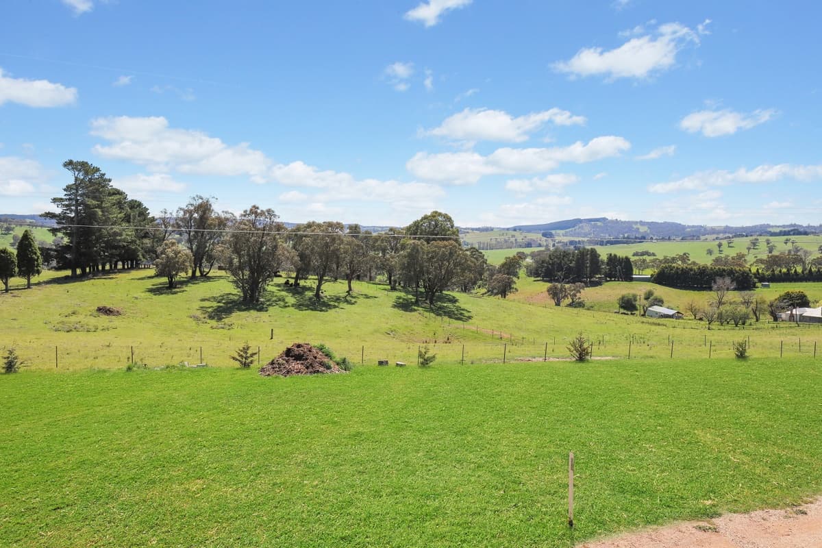 260 Curly Dick Road, Meadow Flat, Meadow Flat - Thumbnail 3