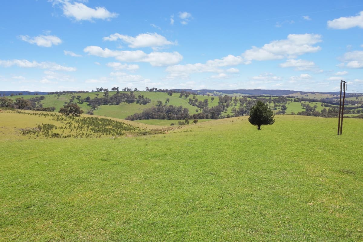 260 Curly Dick Road, Meadow Flat, Meadow Flat - Thumbnail 4