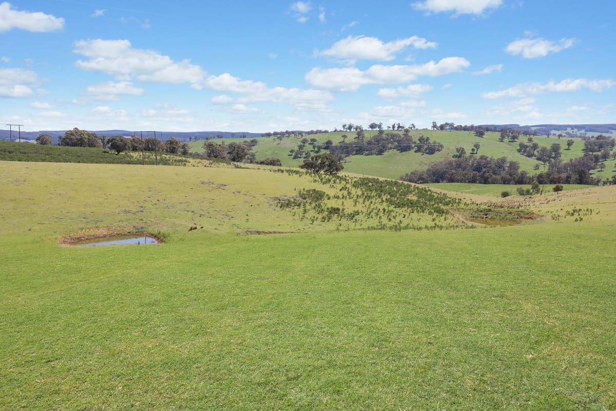 260 Curly Dick Road, Meadow Flat, Meadow Flat - Thumbnail 5