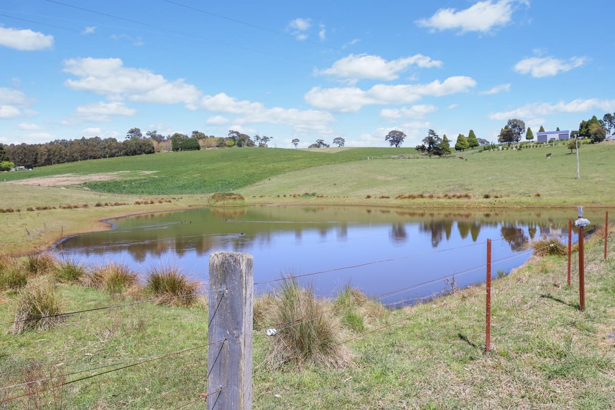 260 Curly Dick Road, Meadow Flat, Meadow Flat - Thumbnail 6