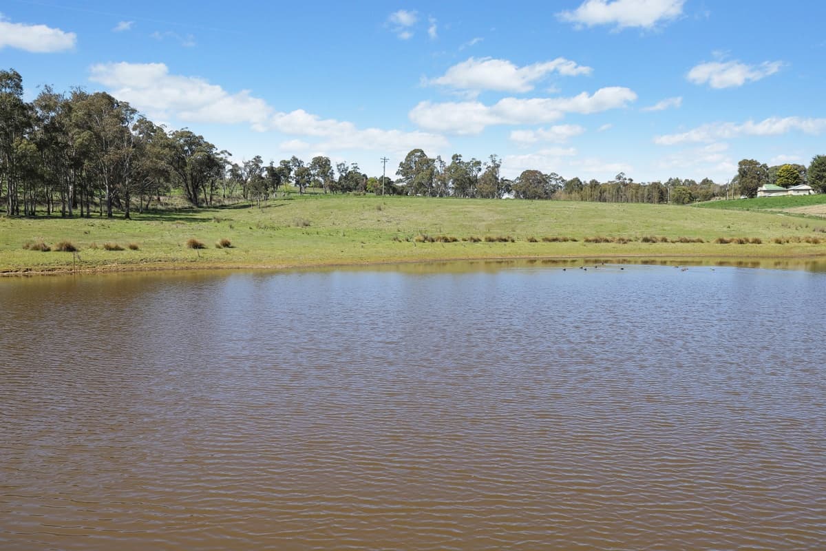 260 Curly Dick Road, Meadow Flat, Meadow Flat - Thumbnail 7