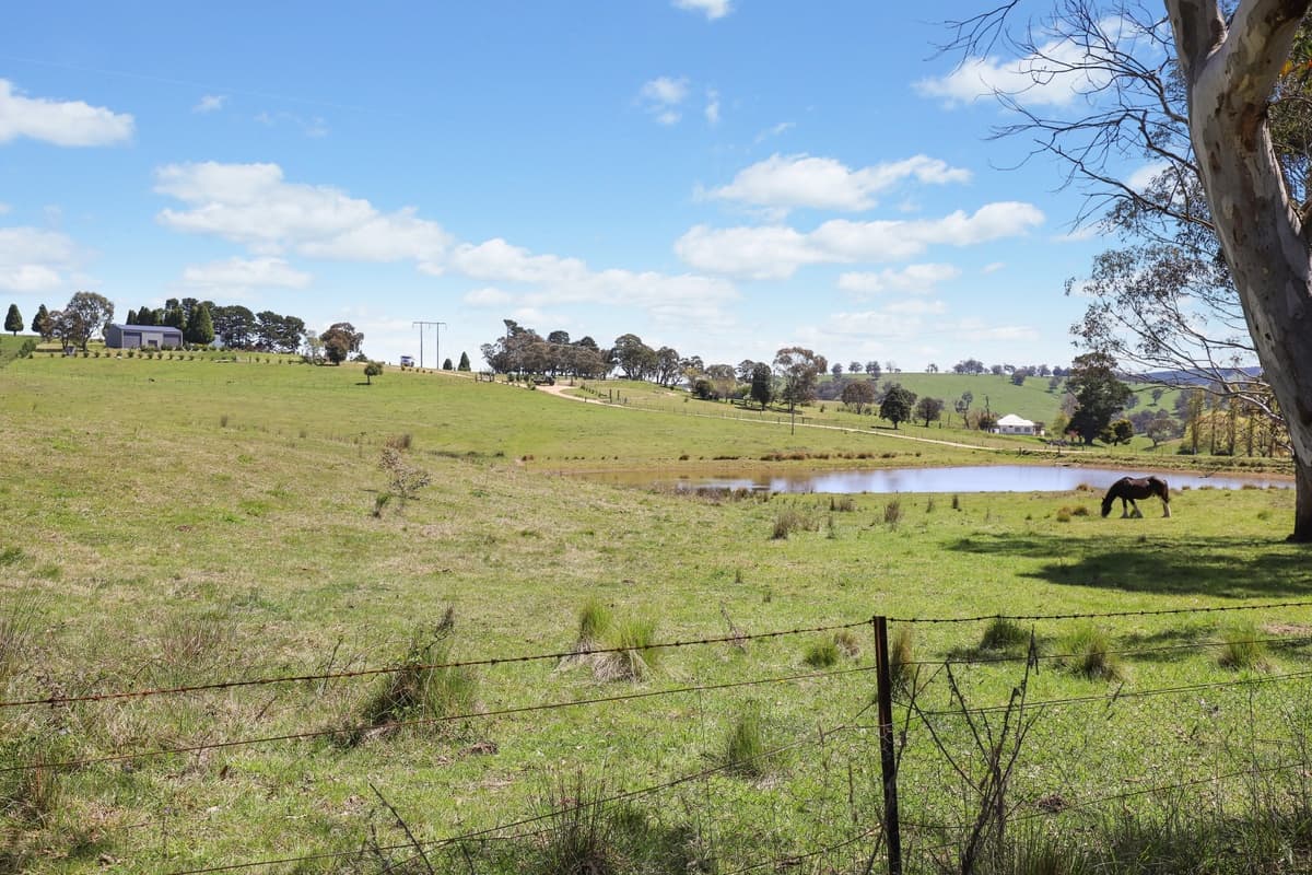 260 Curly Dick Road, Meadow Flat, Meadow Flat - Thumbnail 8