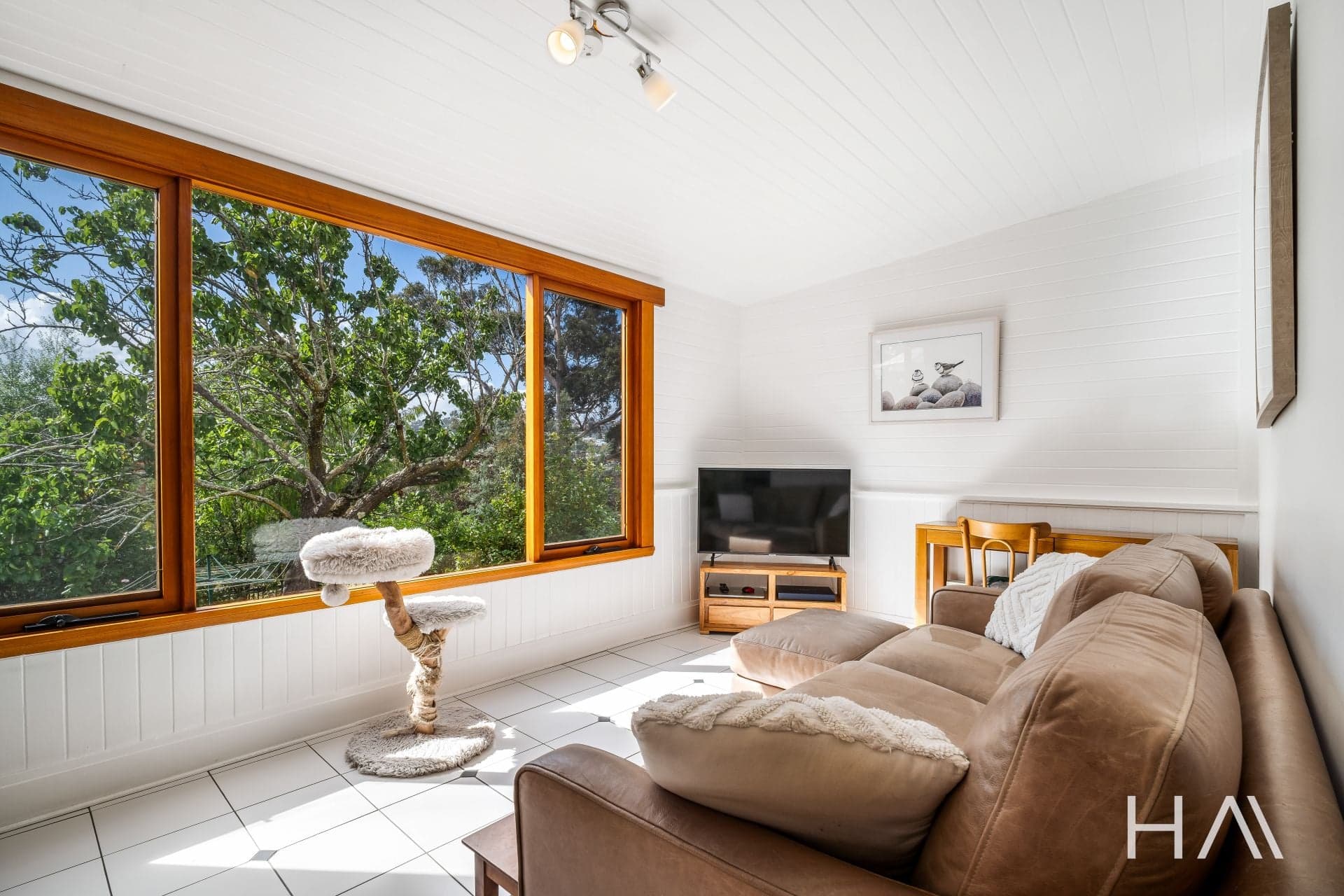 17 Maitland Street Launceston, Launceston - Thumbnail 5