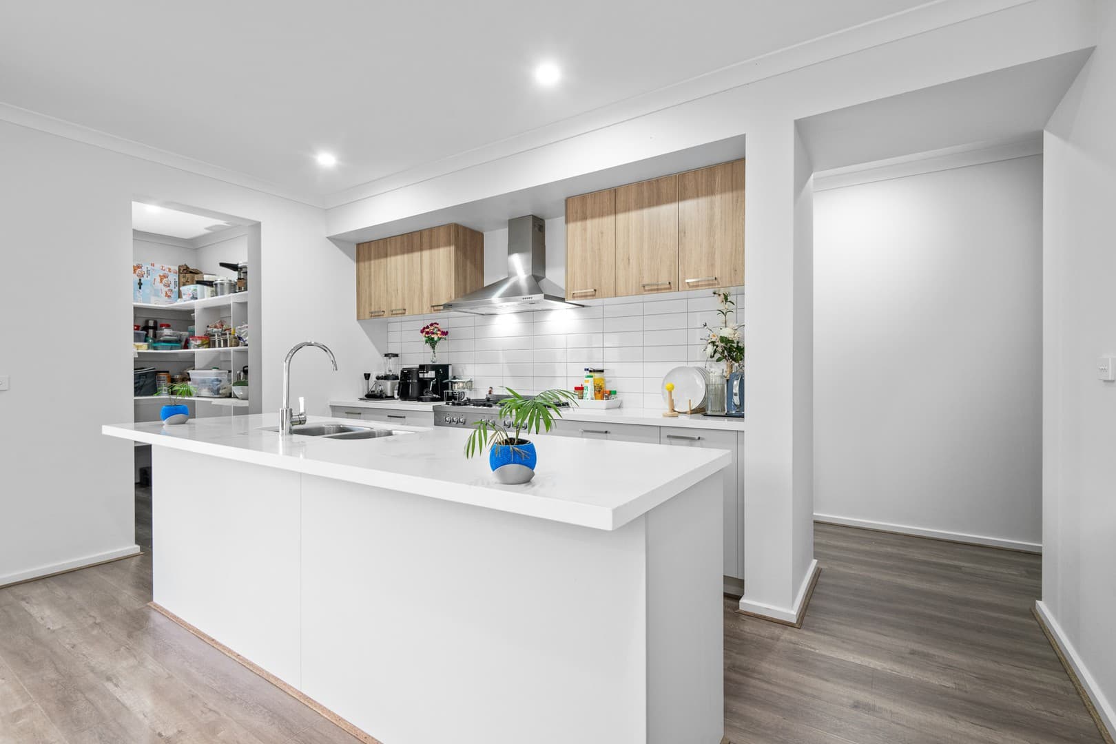 31 Frost Drive, Charlemont, VIC 3217, Charlemont - Thumbnail 2