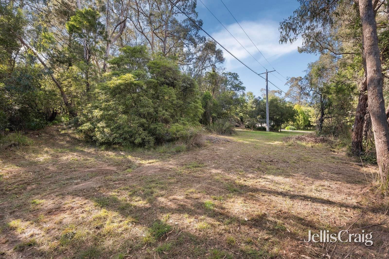 38 Thomas Crescent, Lilydale
    
    
      
        2,410 m2, Lilydale - Thumbnail 5