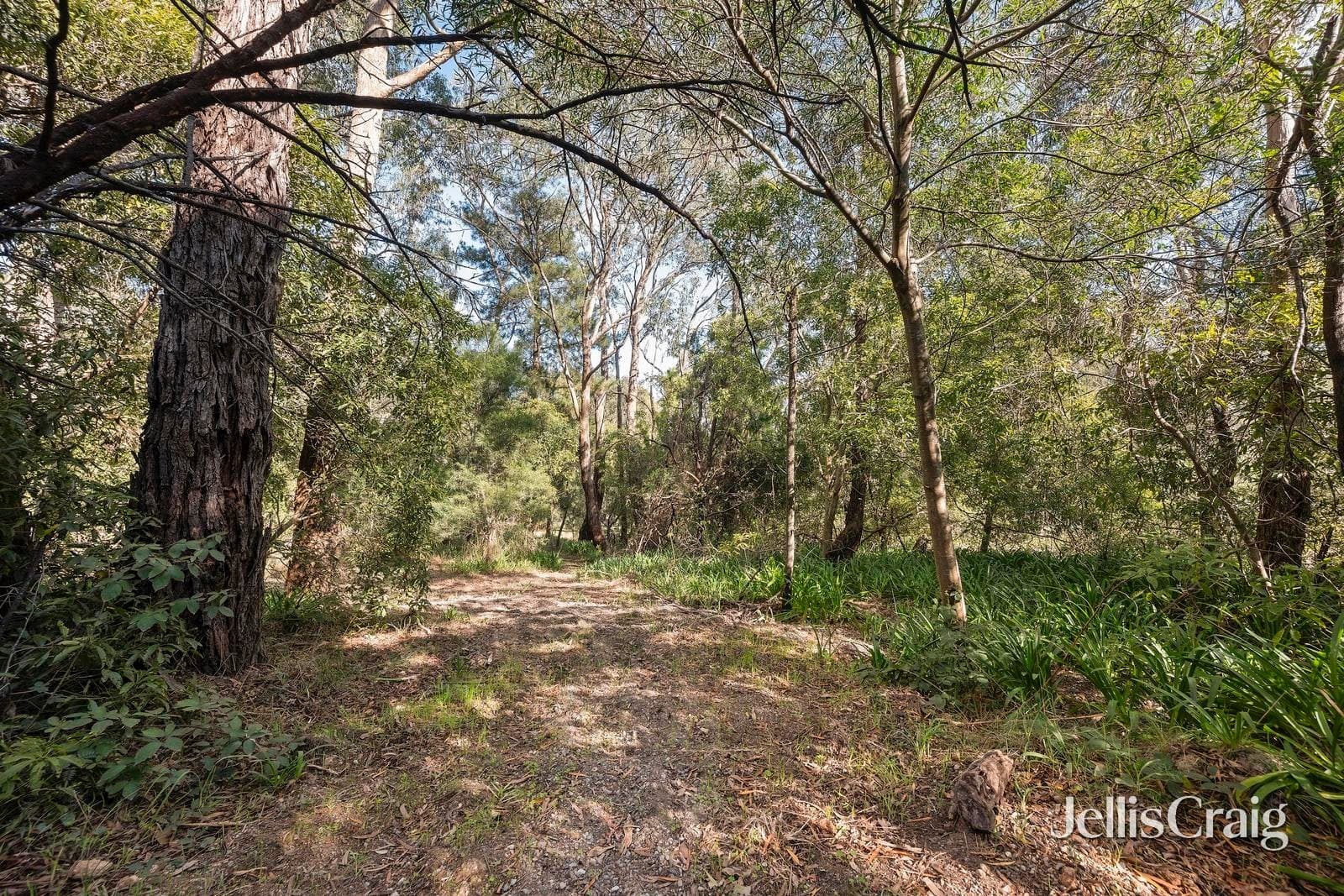 38 Thomas Crescent, Lilydale
    
    
      
        2,410 m2, Lilydale - Thumbnail 6