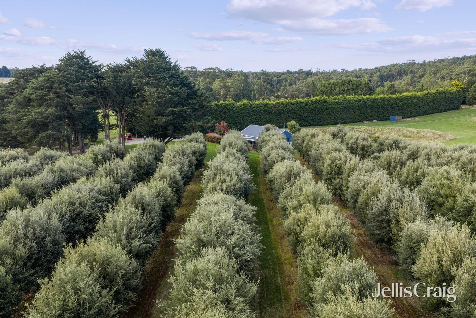 68 Sultana Road, Blakeville
    
    
      
        10 ac, Blakeville - Thumbnail 4
