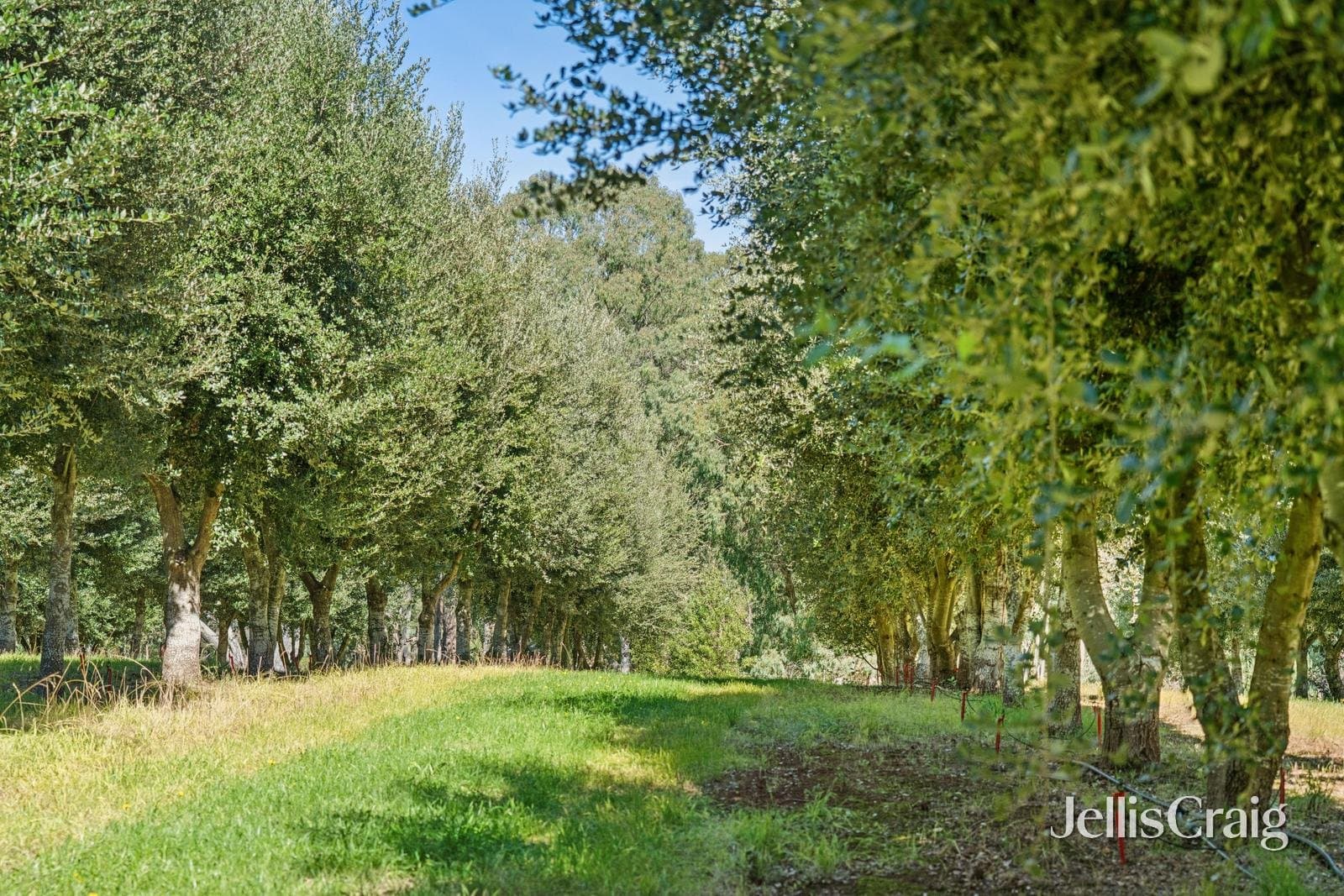 68 Sultana Road, Blakeville
    
    
      
        10 ac, Blakeville - Thumbnail 6