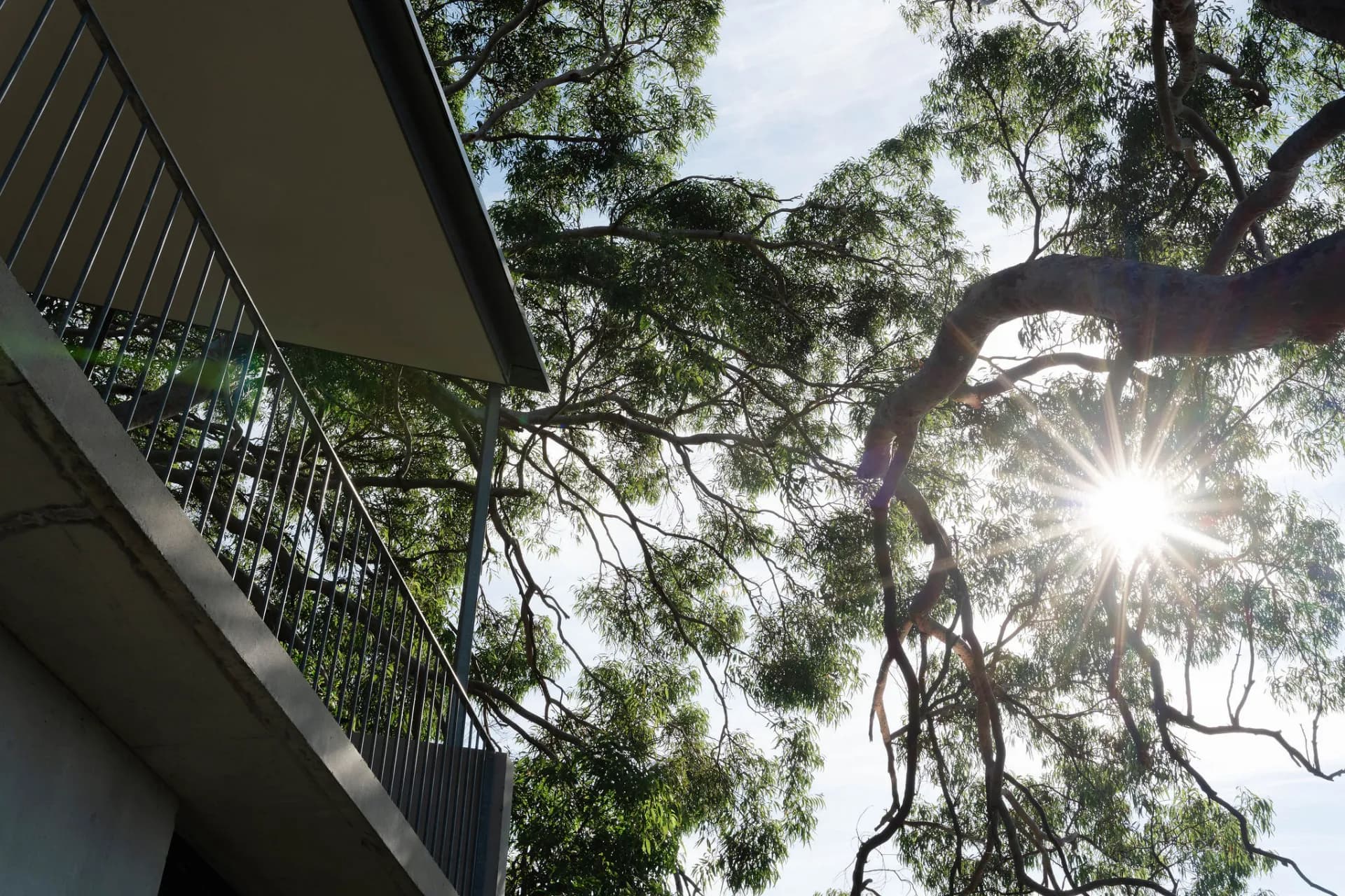 32 Grandview Crescent, Killcare, NSW, Killcare - Thumbnail 6