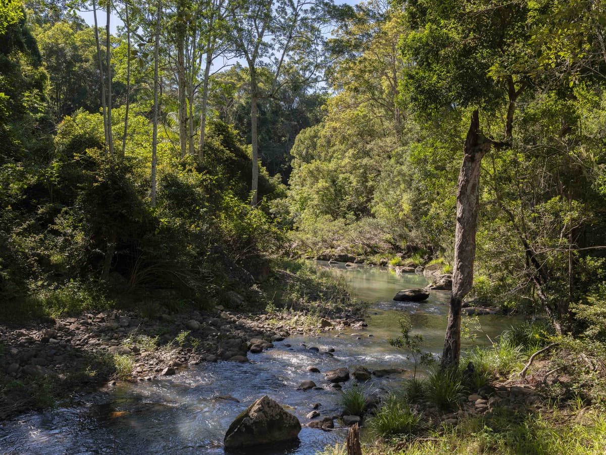 Numinbah NSW 2484, Numinbah - Thumbnail 2