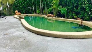 184 Mackie Road, Narangba QLD 4504, Narangba - Thumbnail 8