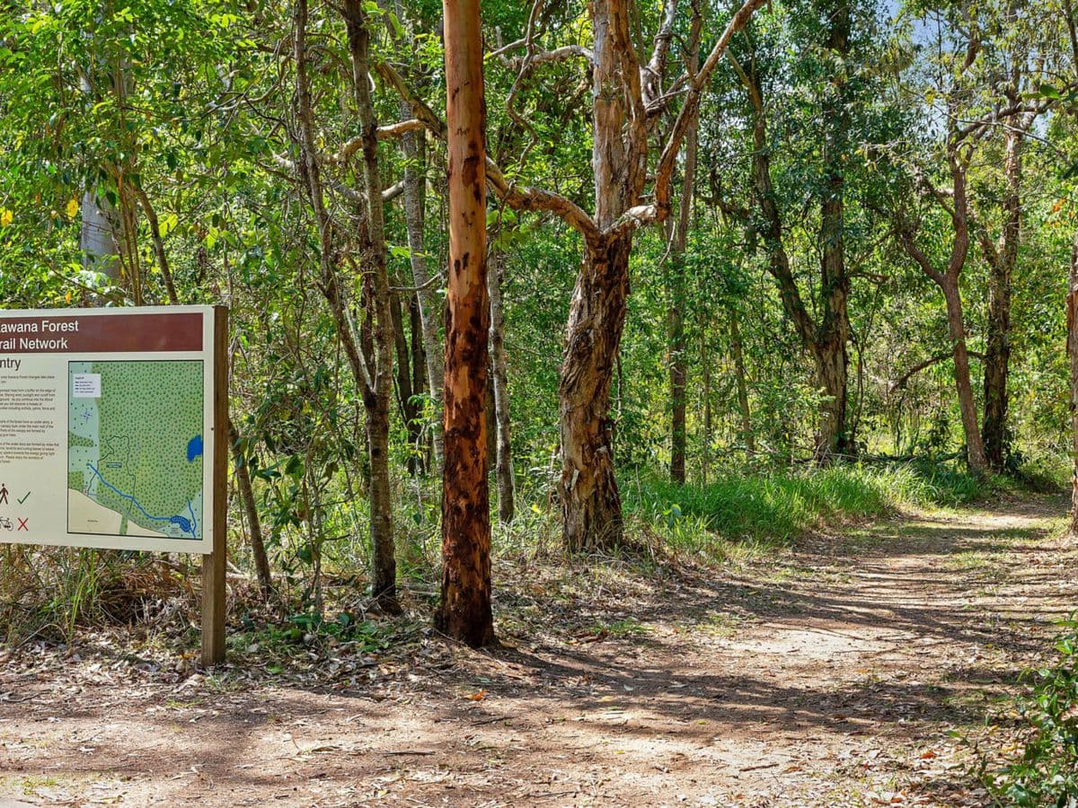 7 White Cedar Drive, MERIDAN PLAINS, Meridan Plains - Thumbnail 5