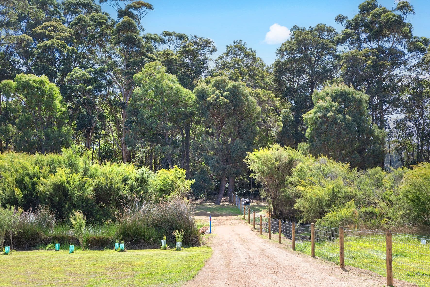 23 Gumtree Close, Cowaramup WA 6284, Cowaramup - Thumbnail 2
