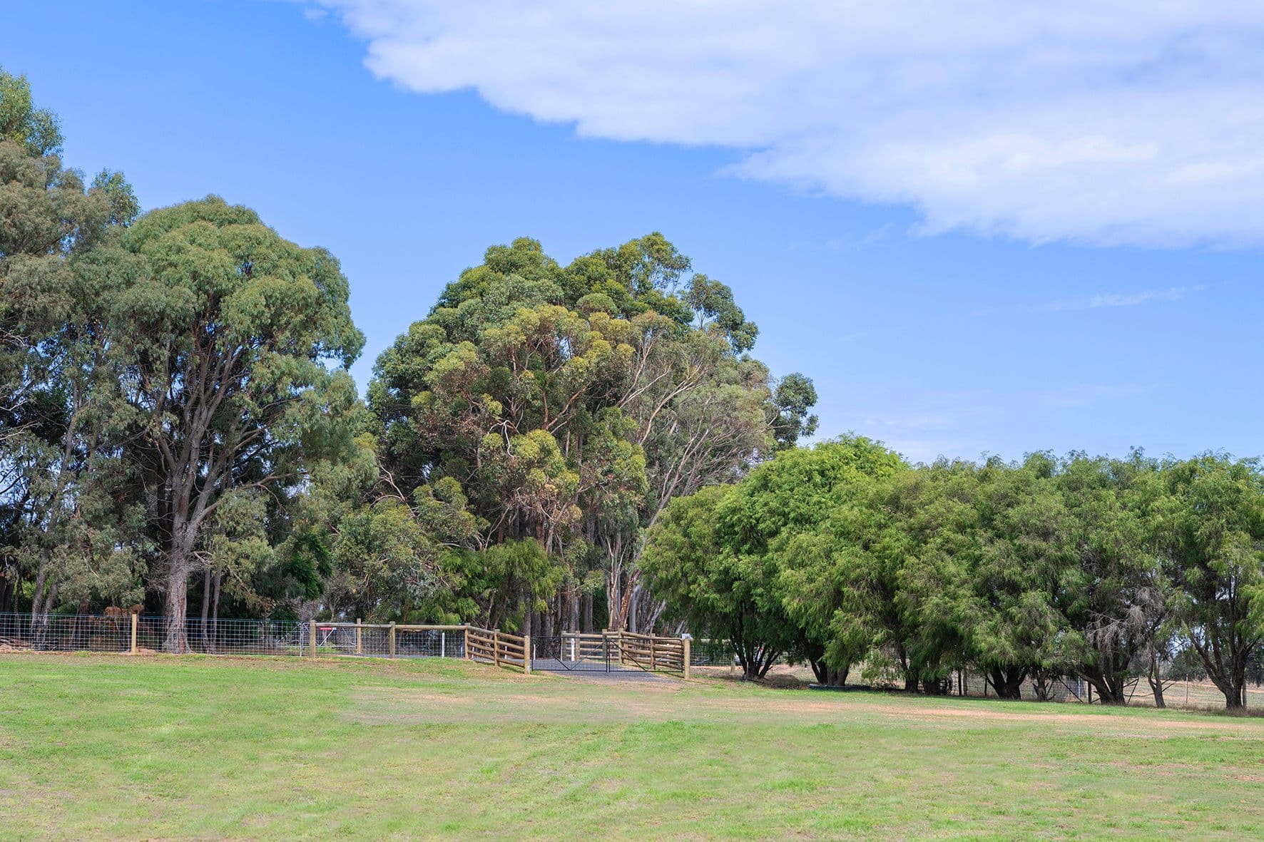 23 Gumtree Close, Cowaramup WA 6284, Cowaramup - Thumbnail 7