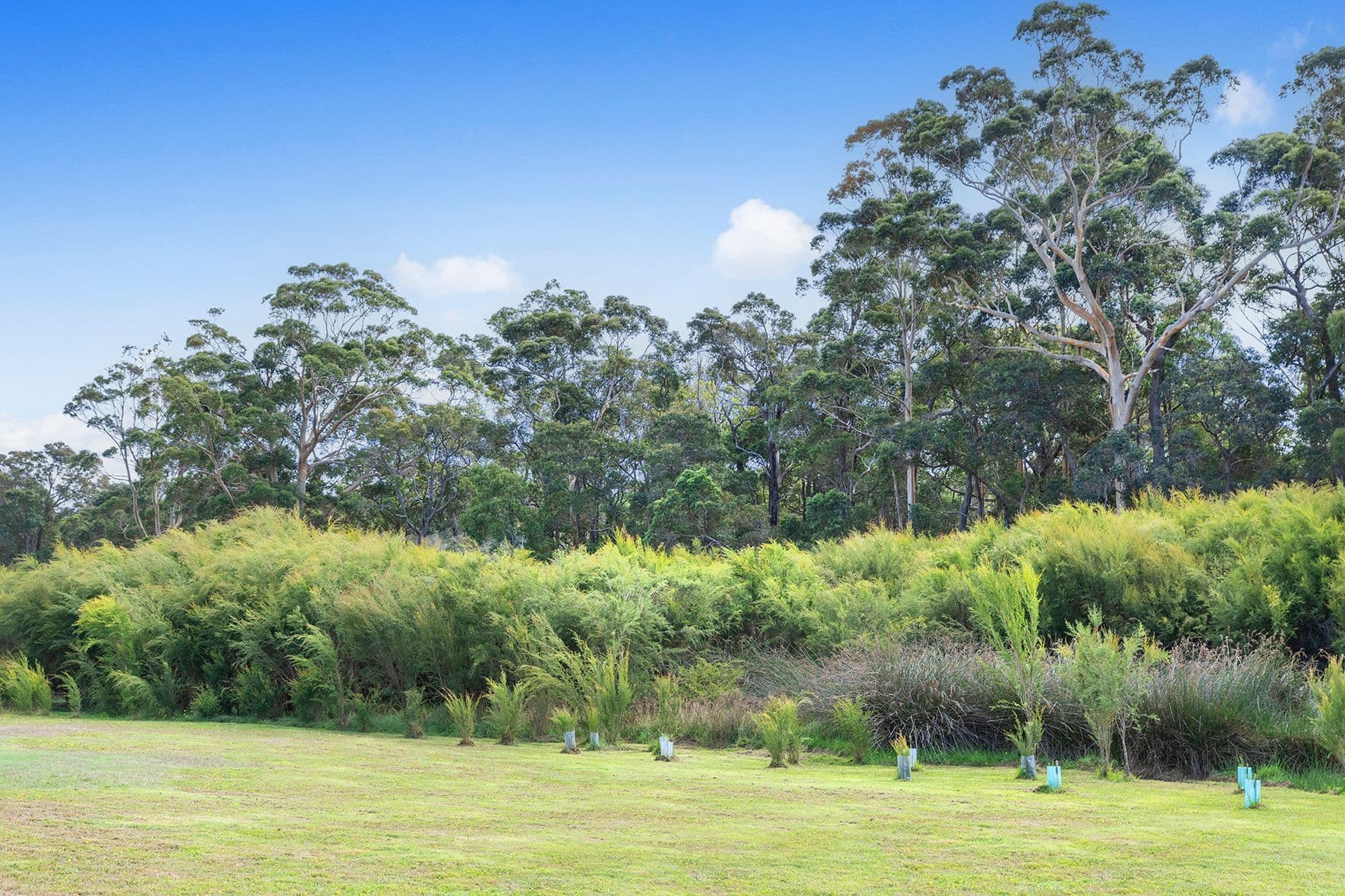 23 Gumtree Close, Cowaramup WA 6284, Cowaramup - Thumbnail 8