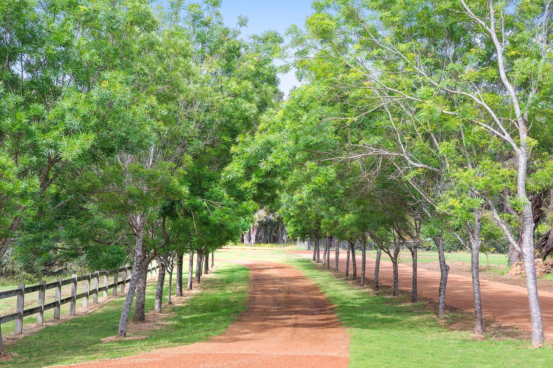 PL 241/29 Eucalyptus Court, Margaret River WA 6285, Margaret River - Image 1