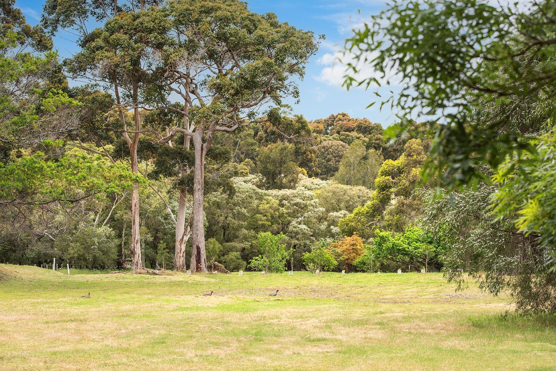 PL 241/29 Eucalyptus Court, Margaret River WA 6285, Margaret River - Thumbnail 5