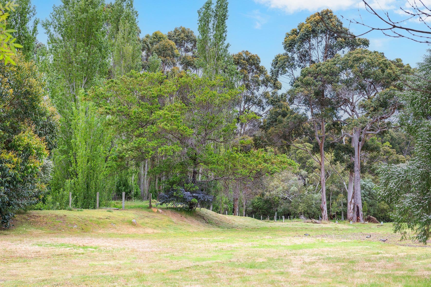 PL 241/29 Eucalyptus Court, Margaret River WA 6285, Margaret River - Thumbnail 7