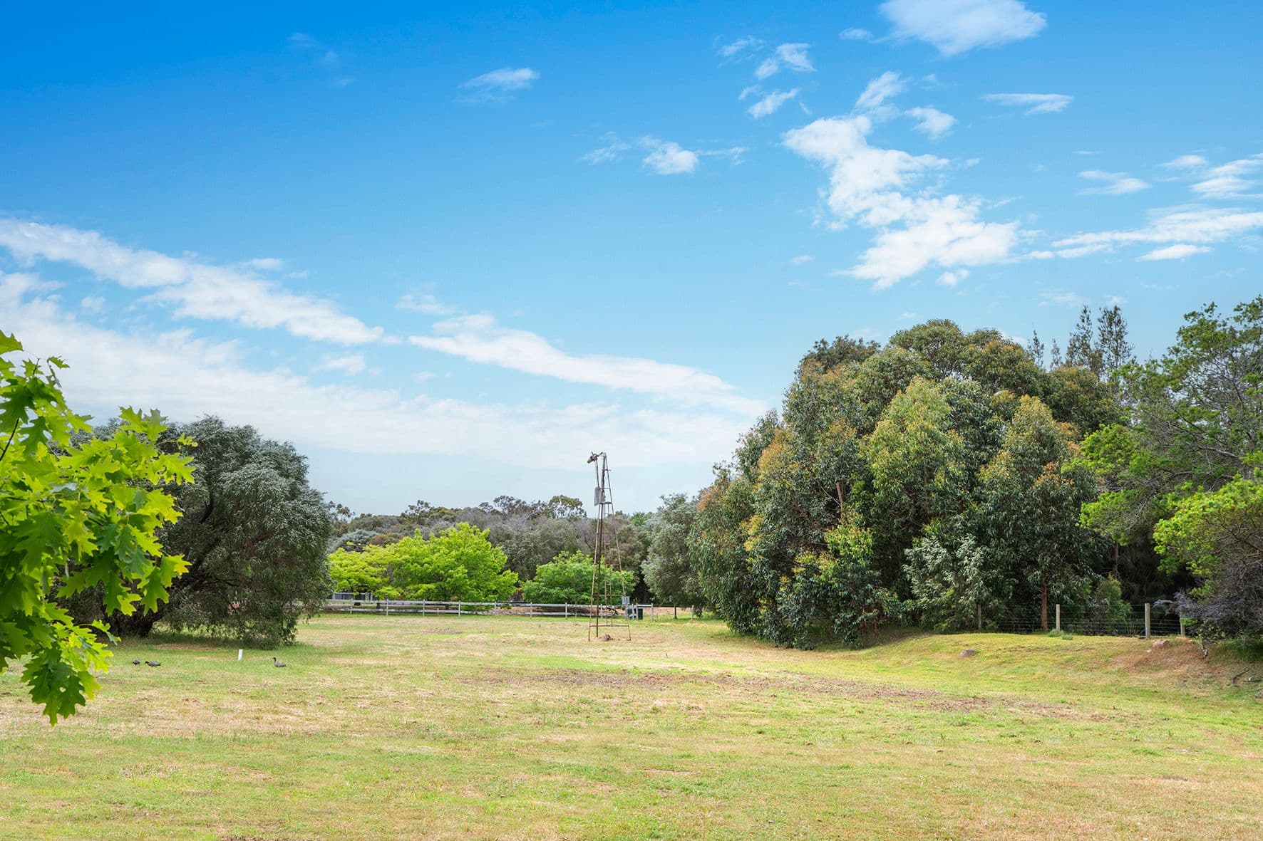 PL 241/29 Eucalyptus Court, Margaret River WA 6285, Margaret River - Thumbnail 8