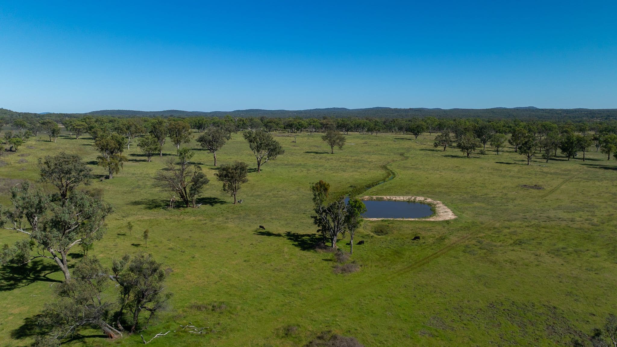 INVERELL NSW 2360, Inverell - Thumbnail 5