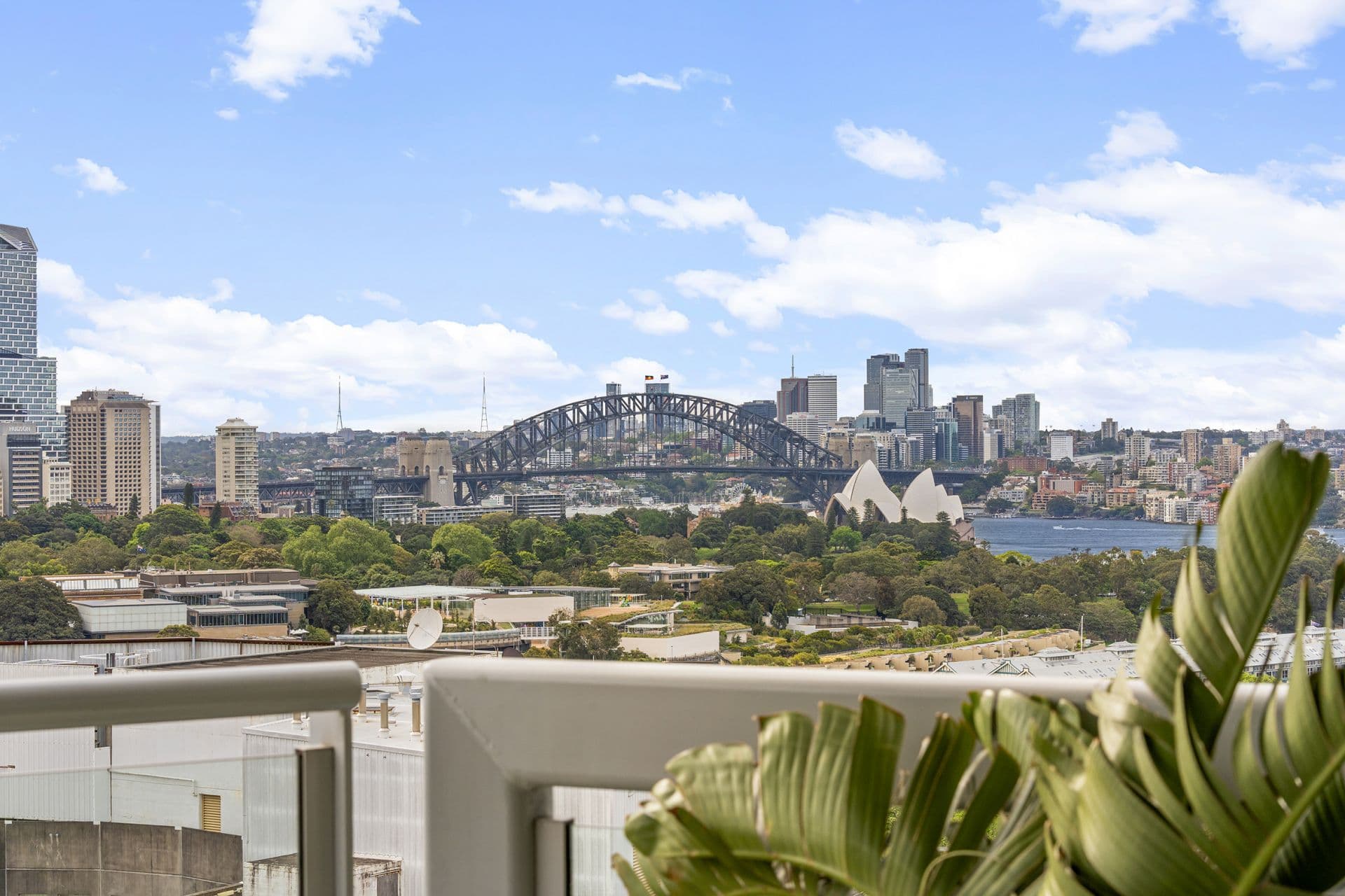 Just a moment..., Potts Point - Thumbnail 4