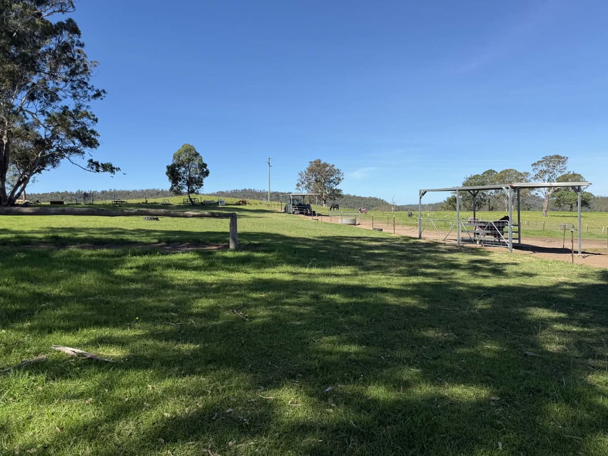 46 Jersey Place, Cobargo - Thumbnail 6