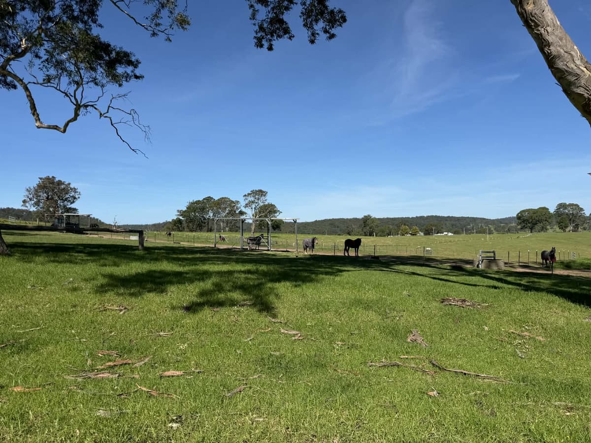 46 Jersey Place, Cobargo - Thumbnail 7