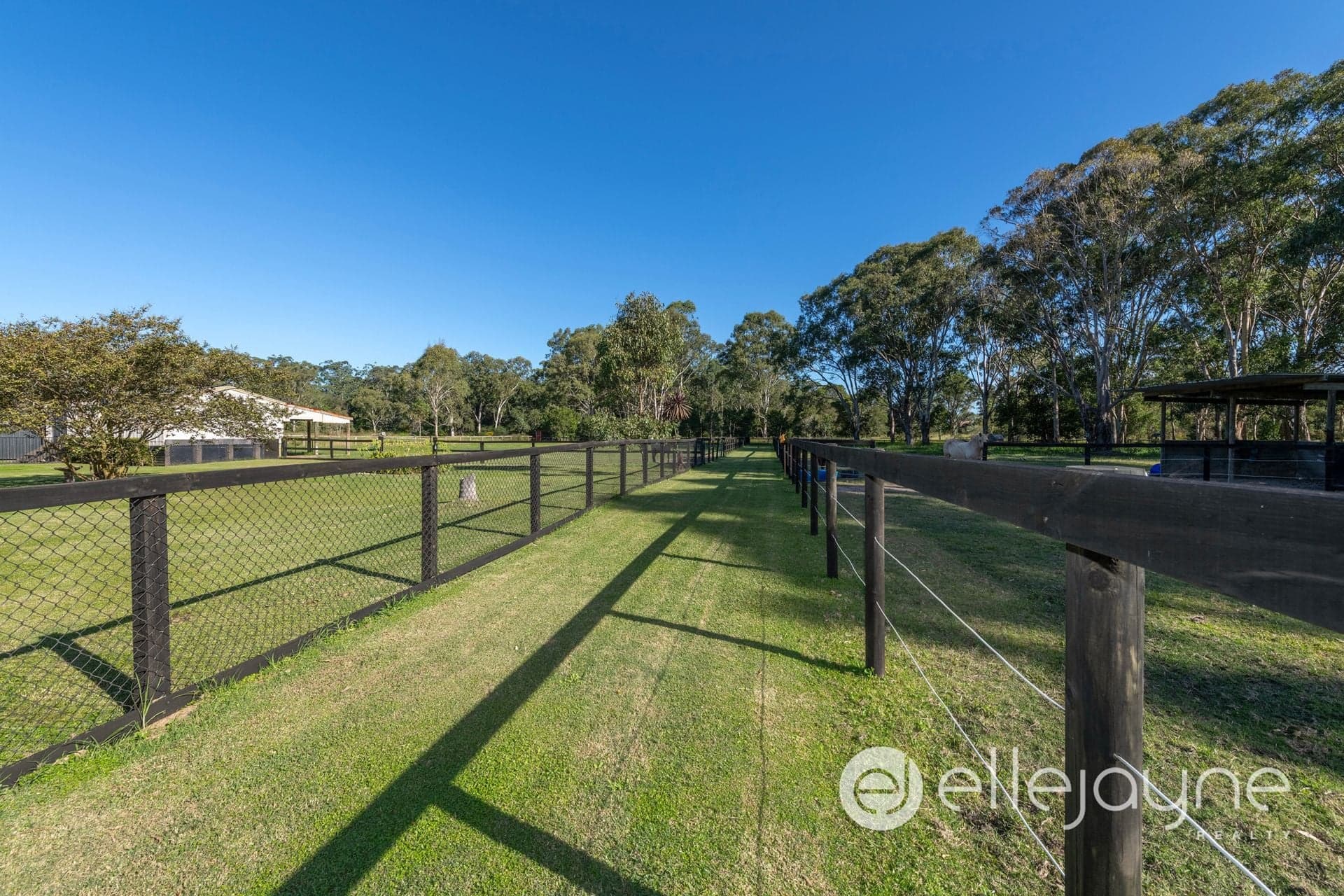 371 Newport Road, Cooranbong, Cooranbong - Thumbnail 4