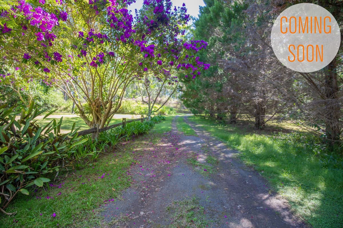 61 Ballengara Road, Dondingalong, Dondingalong - Thumbnail 2