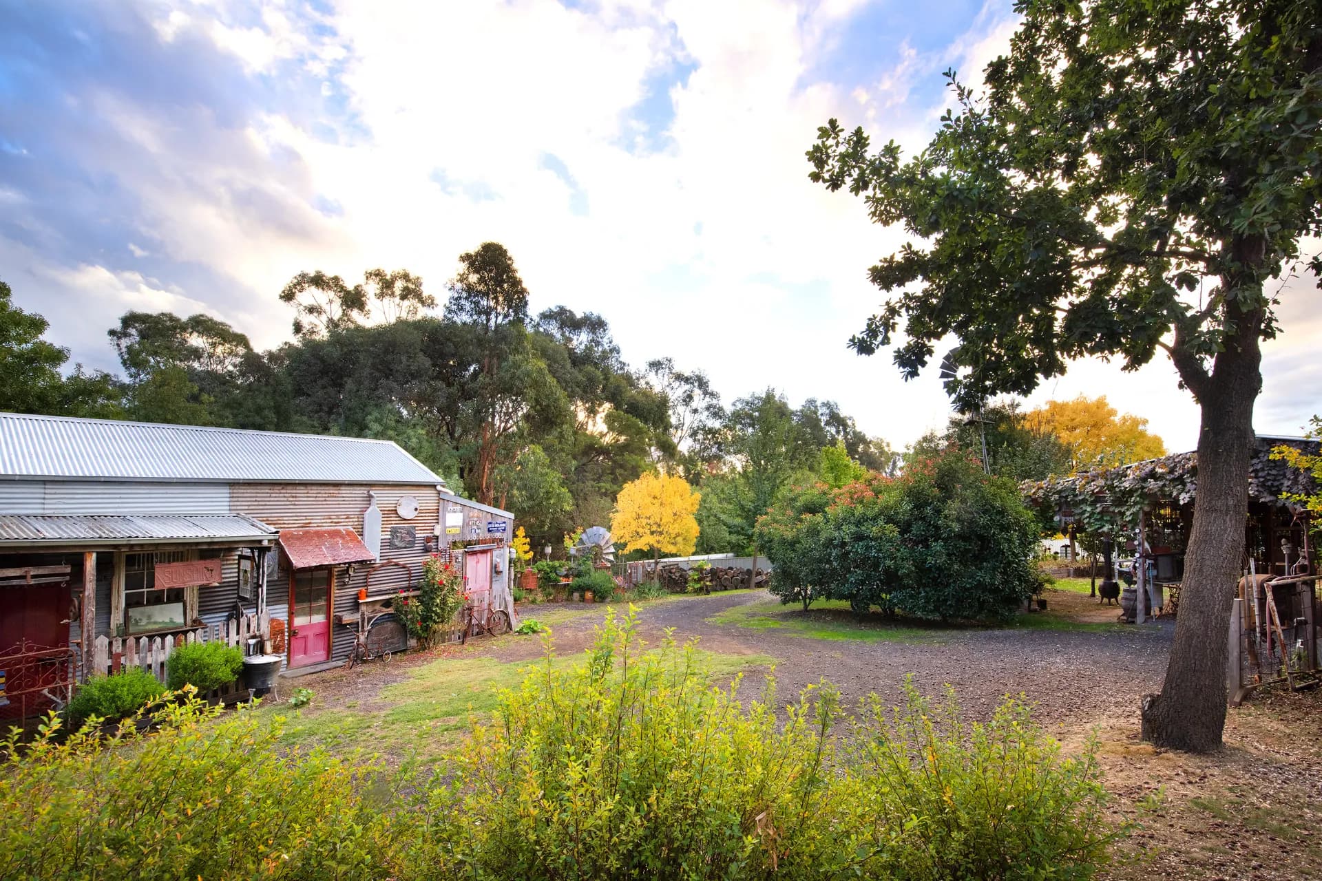 6 Landseer Street, Castlemaine, VIC, Castlemaine - Thumbnail 4