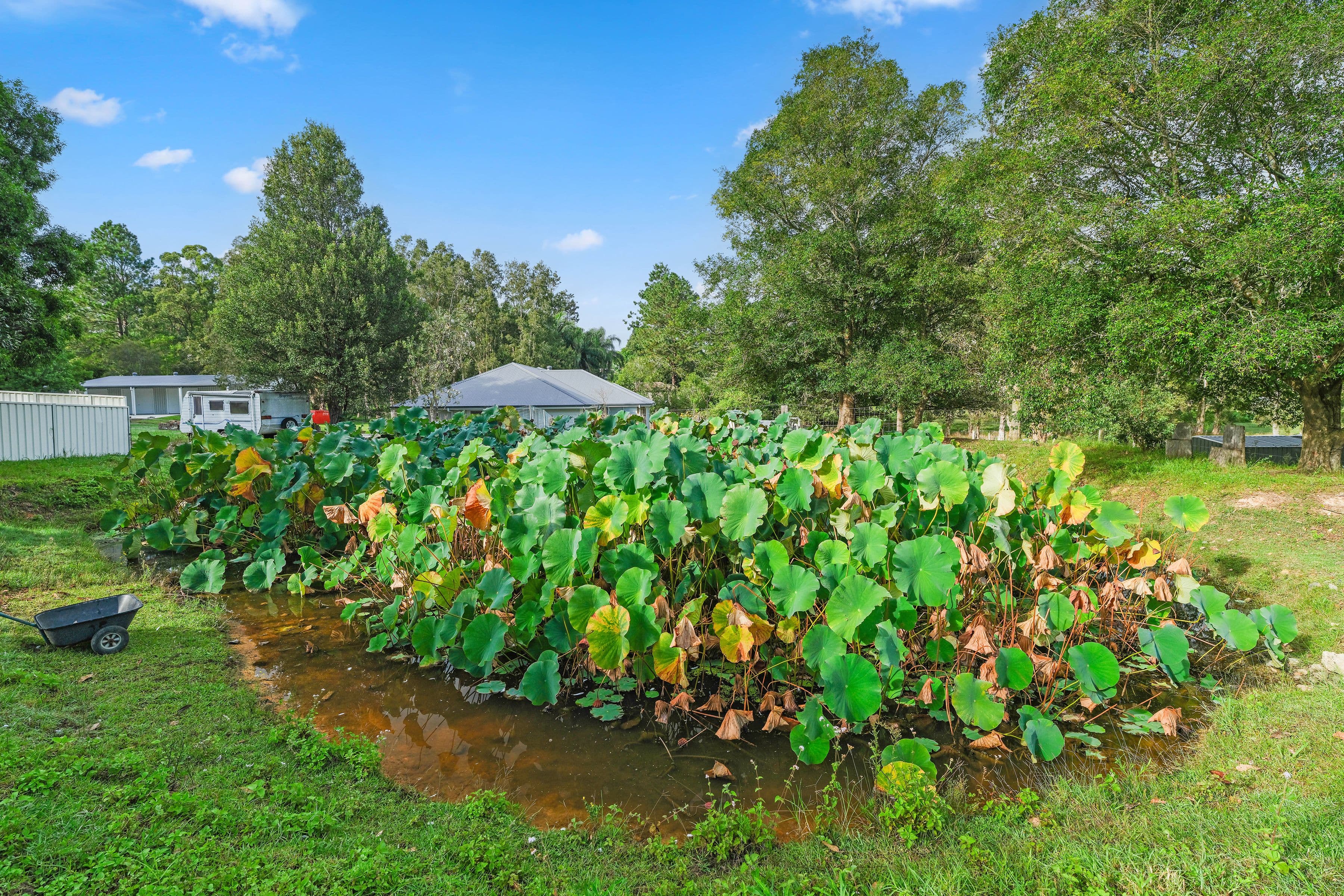 132 Currans Road, Cooranbong NSW 2265, Cooranbong - Thumbnail 6