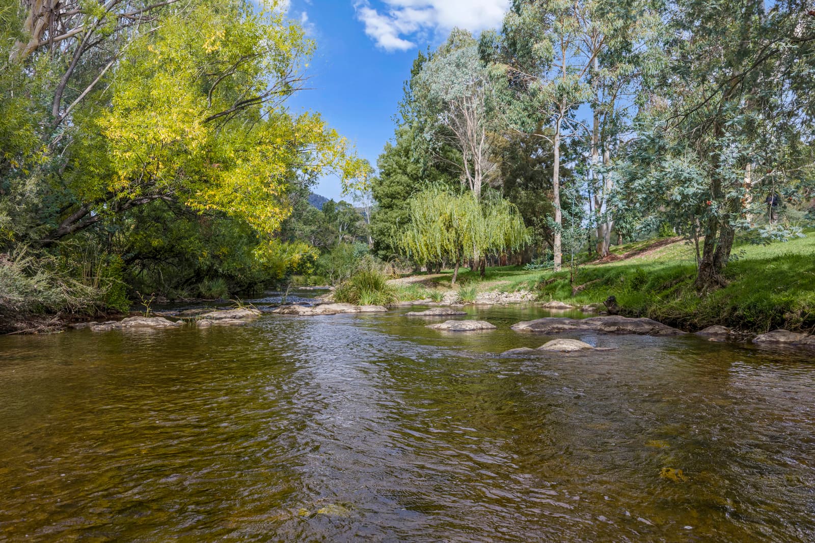 443 Howes Creek-Goughs Bay Road, Goughs Bay, Goughs Bay - Thumbnail 2