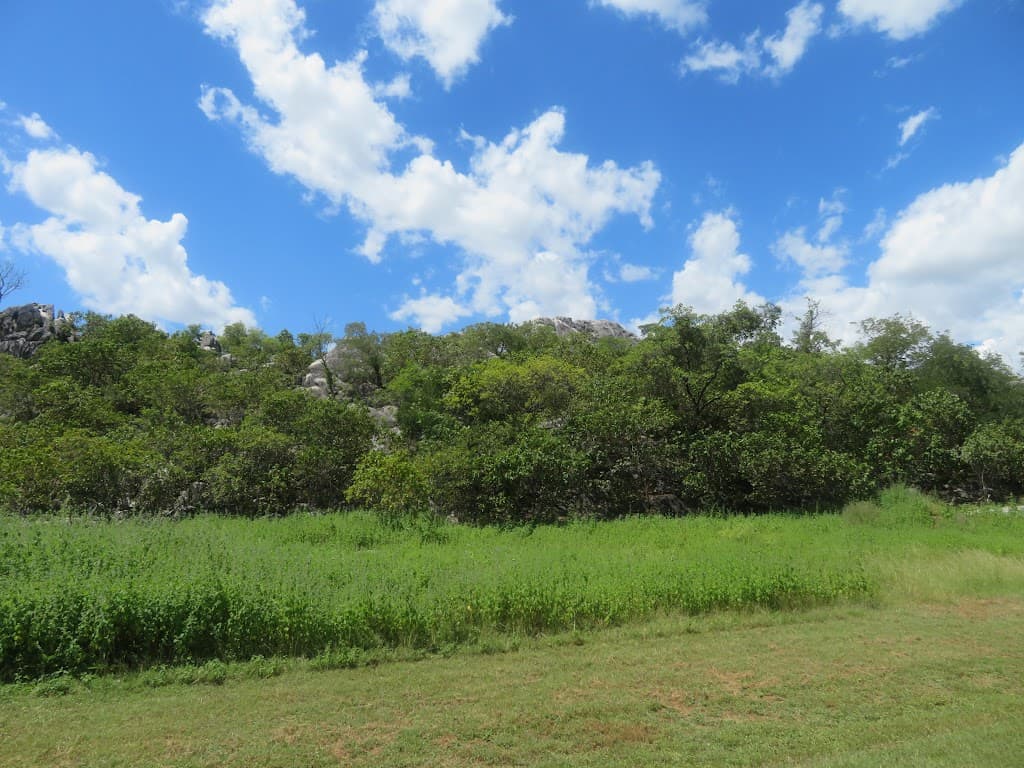 34 Tower Street, Chillagoe, QLD, 4871, Chillagoe - Thumbnail 8