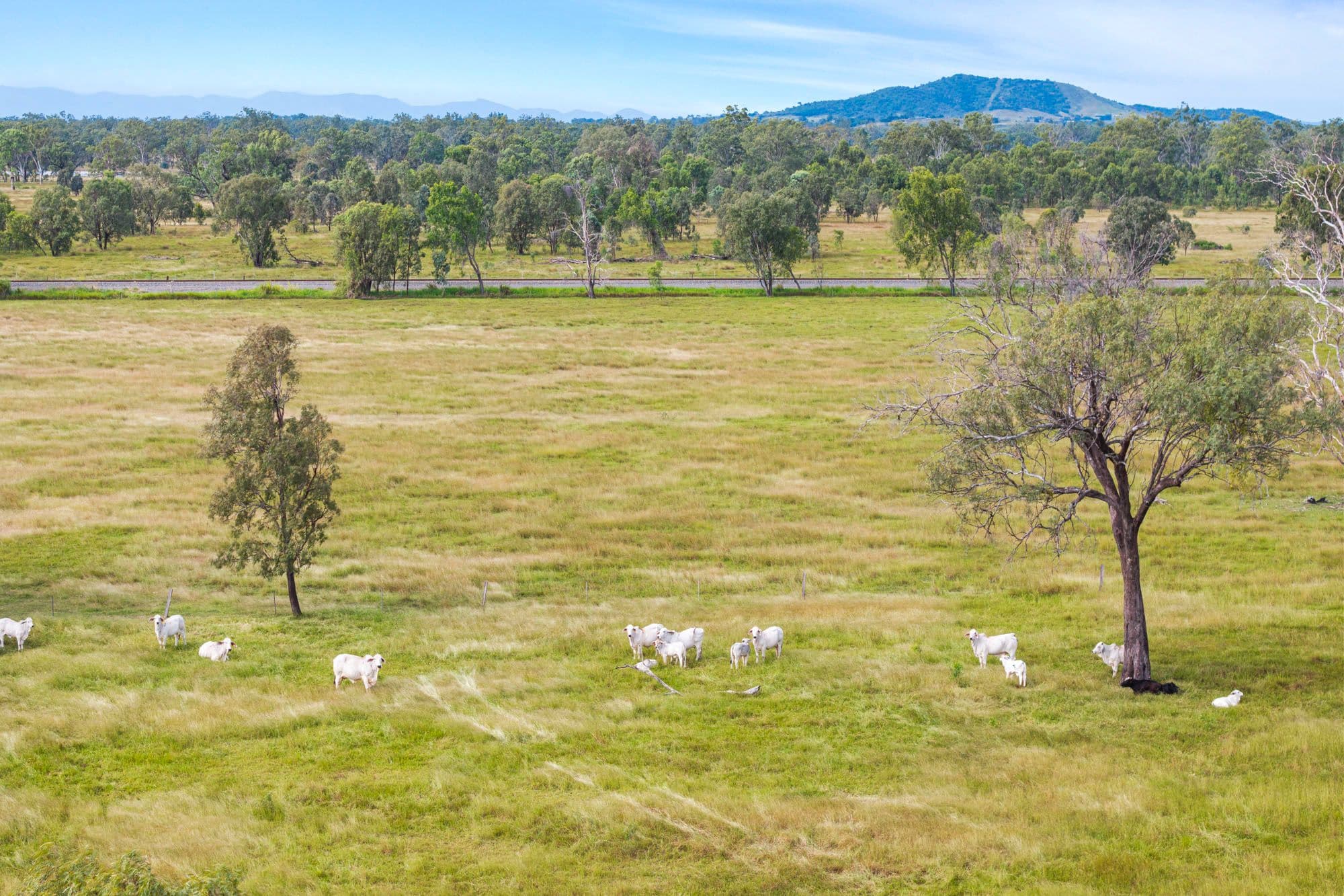 64930 Bruce Highway, Yaamba QLD 4704, Yaamba - Thumbnail 2