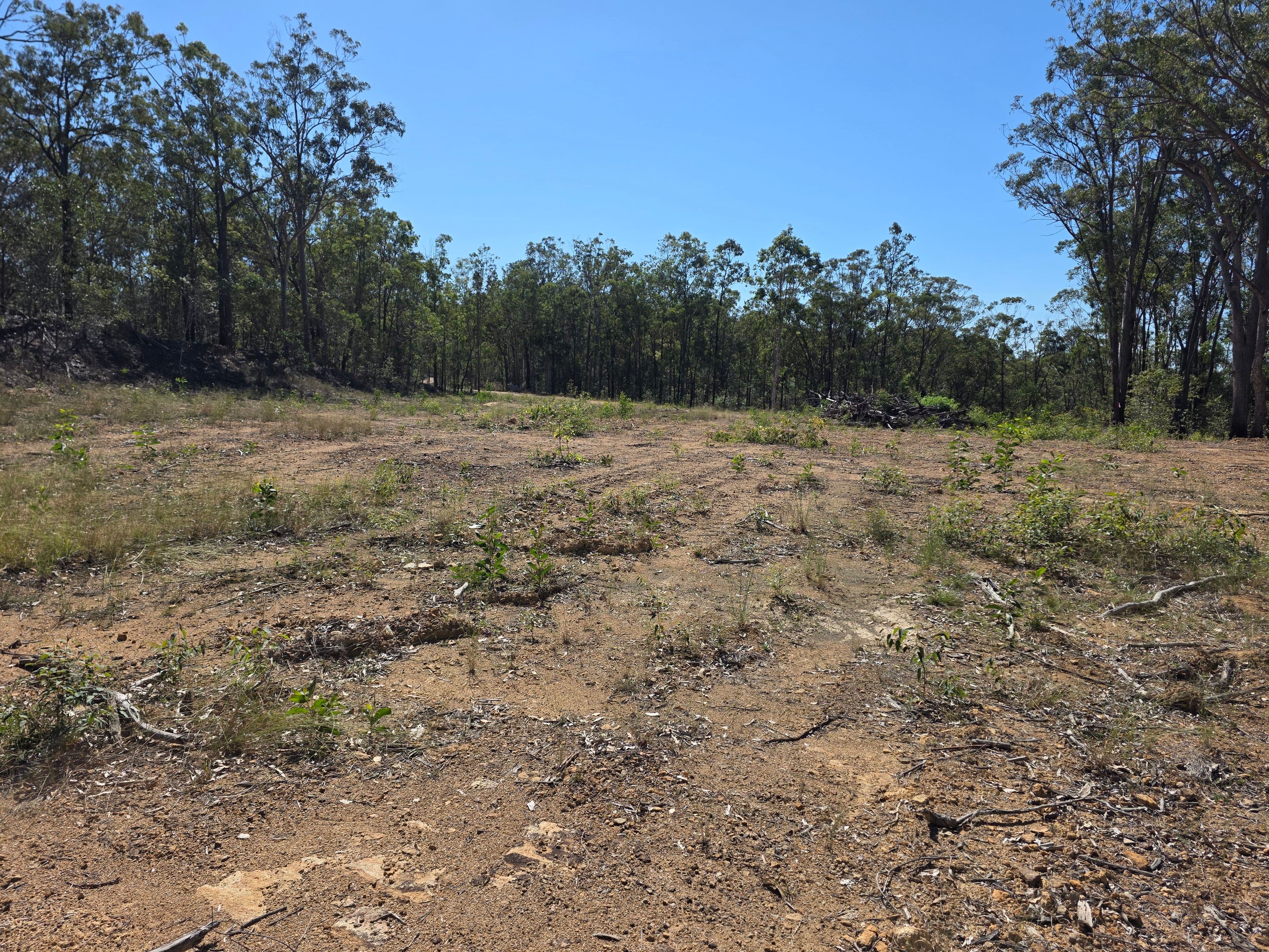 452 Bruxner Road, Drake NSW 2469, Drake Village - Thumbnail 5