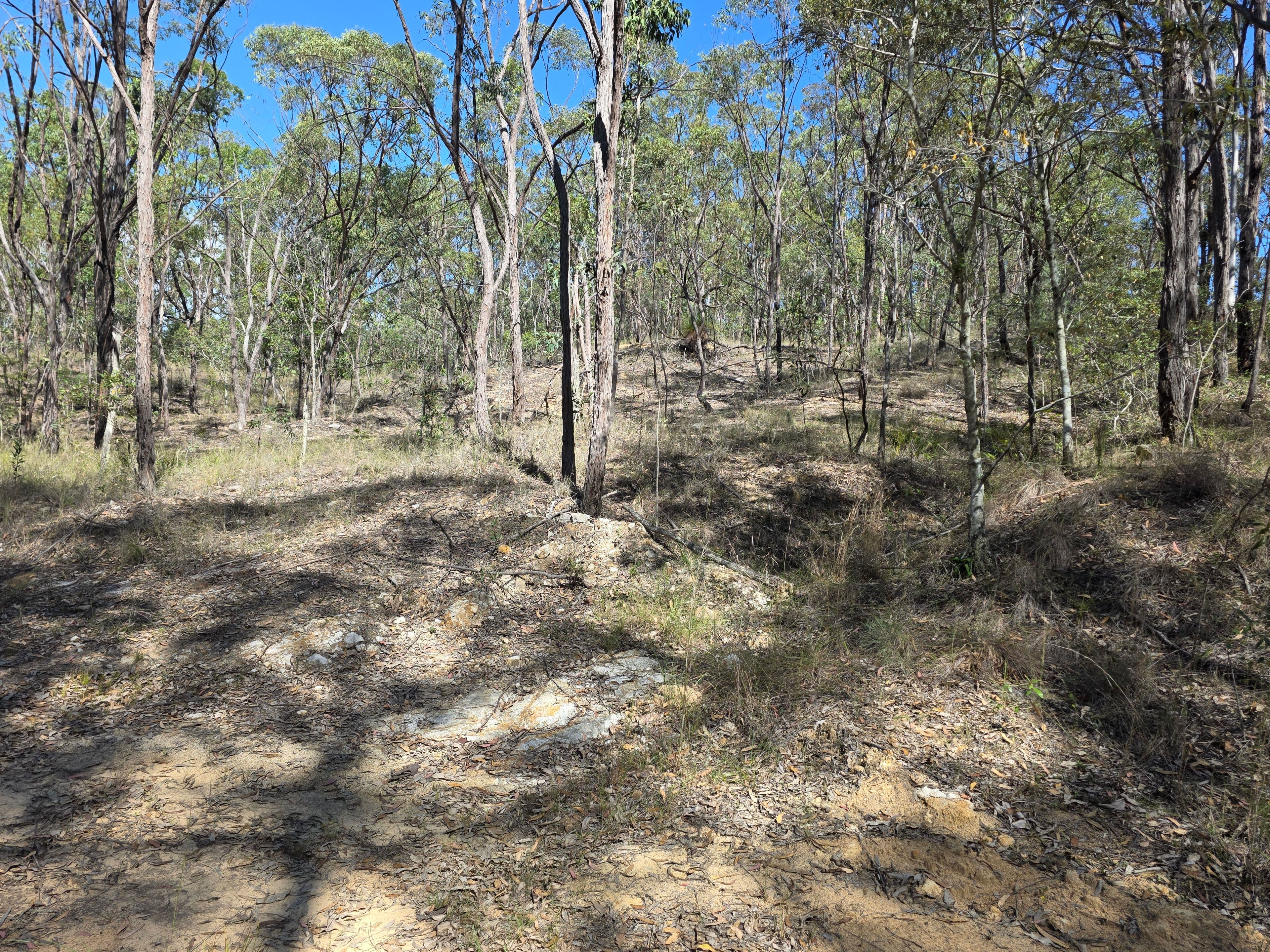 452 Bruxner Road, Drake NSW 2469, Drake Village - Thumbnail 6