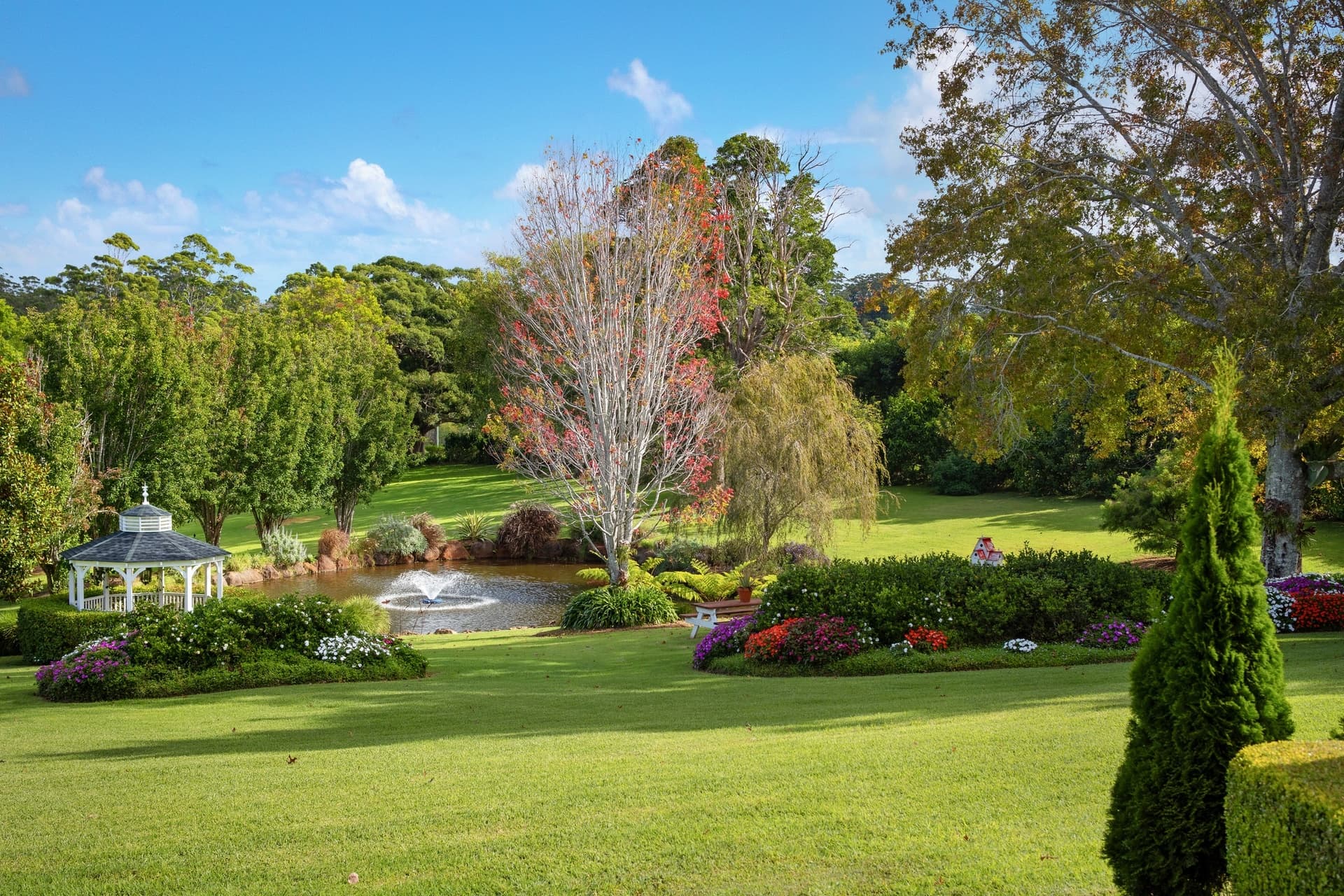 70 Hartley  Road, Tamborine Mountain, QLD, 4272, Tamborine Mountain - Thumbnail 2
