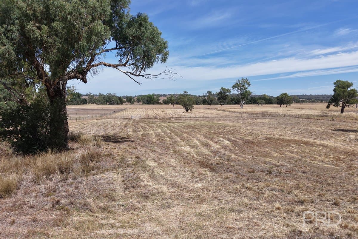 479 Spains Lane, QUIRINDI NSW 2343, Quirindi - Thumbnail 2