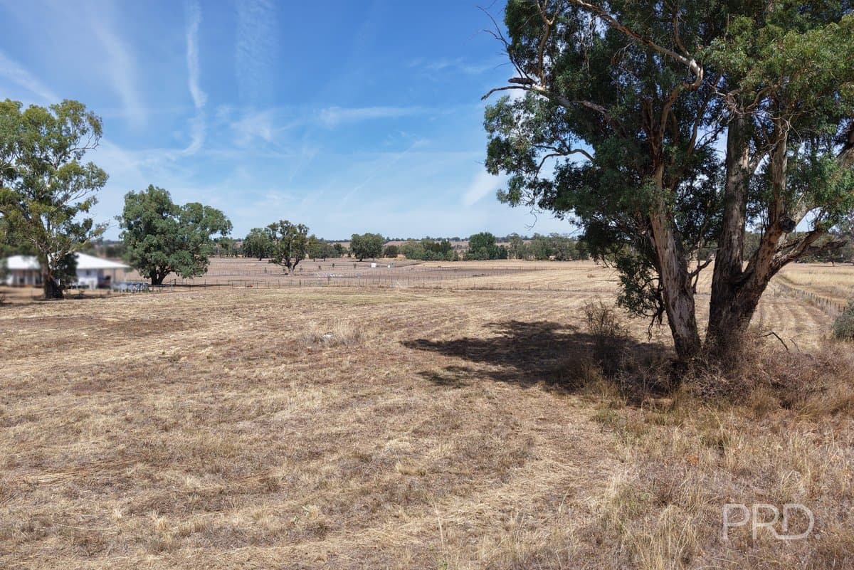 479 Spains Lane, QUIRINDI NSW 2343, Quirindi - Thumbnail 3