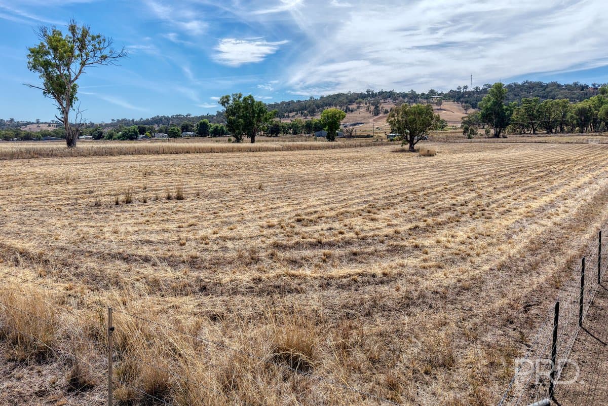 479 Spains Lane, QUIRINDI NSW 2343, Quirindi - Thumbnail 4