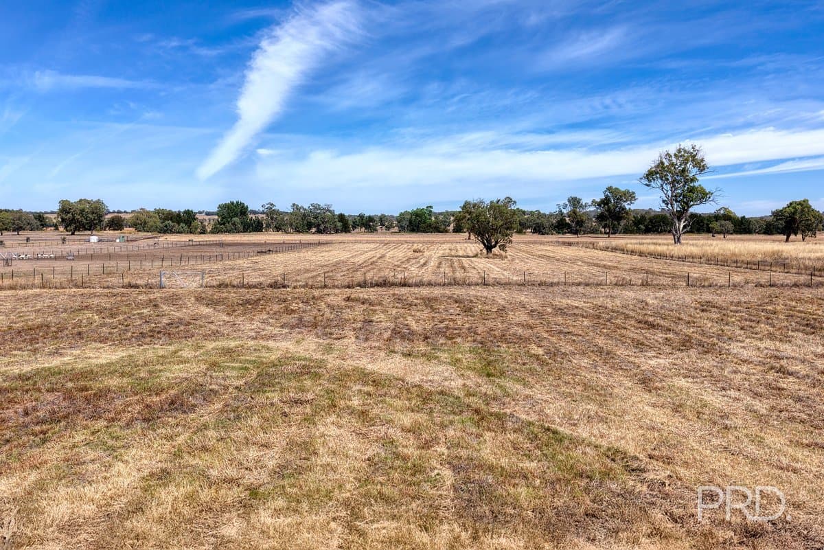 479 Spains Lane, QUIRINDI NSW 2343, Quirindi - Thumbnail 6