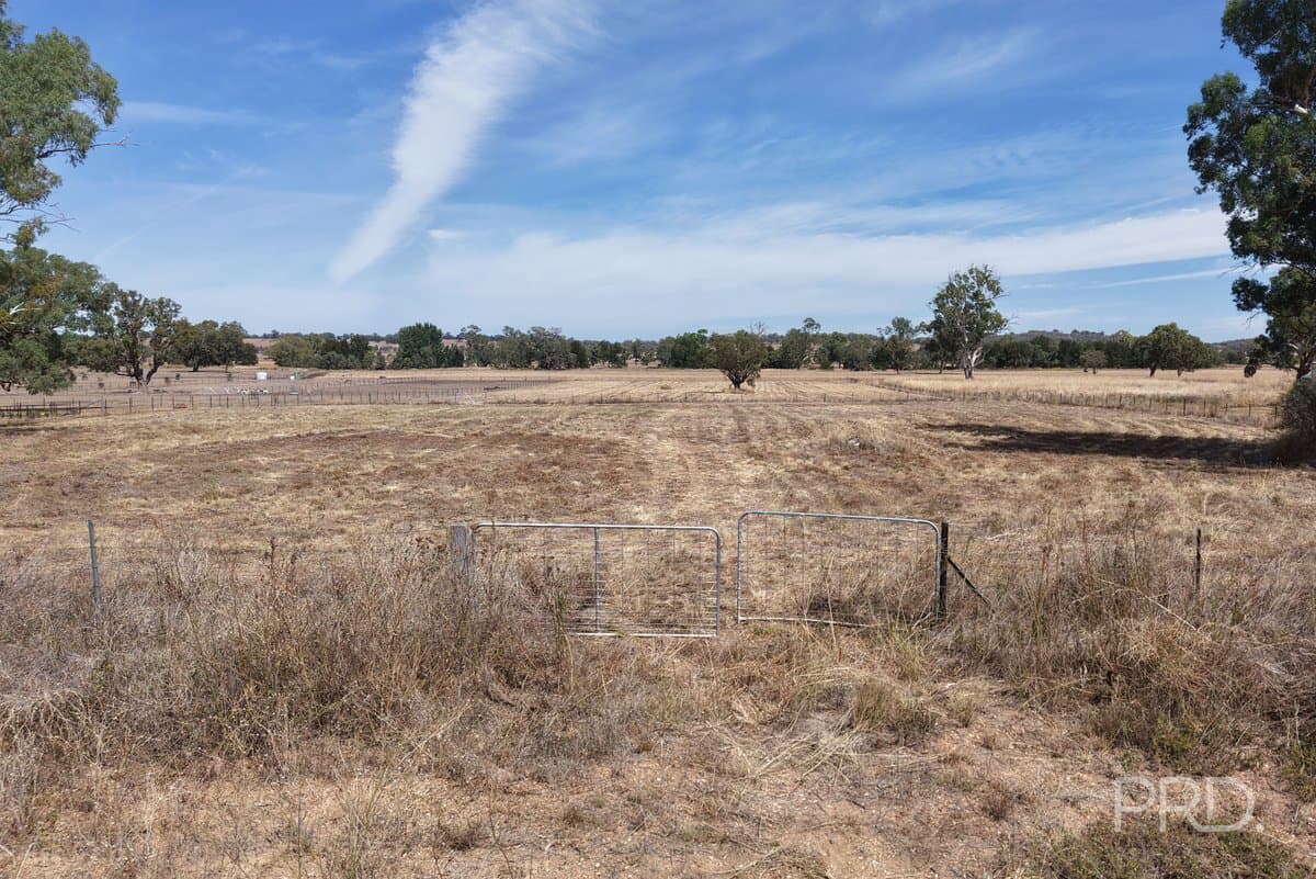 479 Spains Lane, QUIRINDI NSW 2343, Quirindi - Thumbnail 7