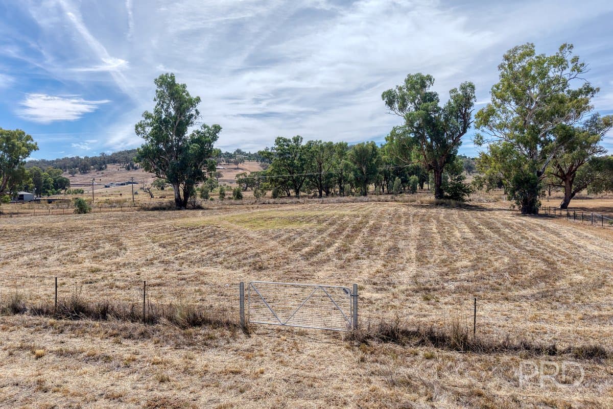 479 Spains Lane, QUIRINDI NSW 2343, Quirindi - Thumbnail 8