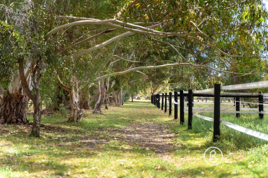 Proposed Lot Address Available On Request, Vasse WA, Vasse - Image 1