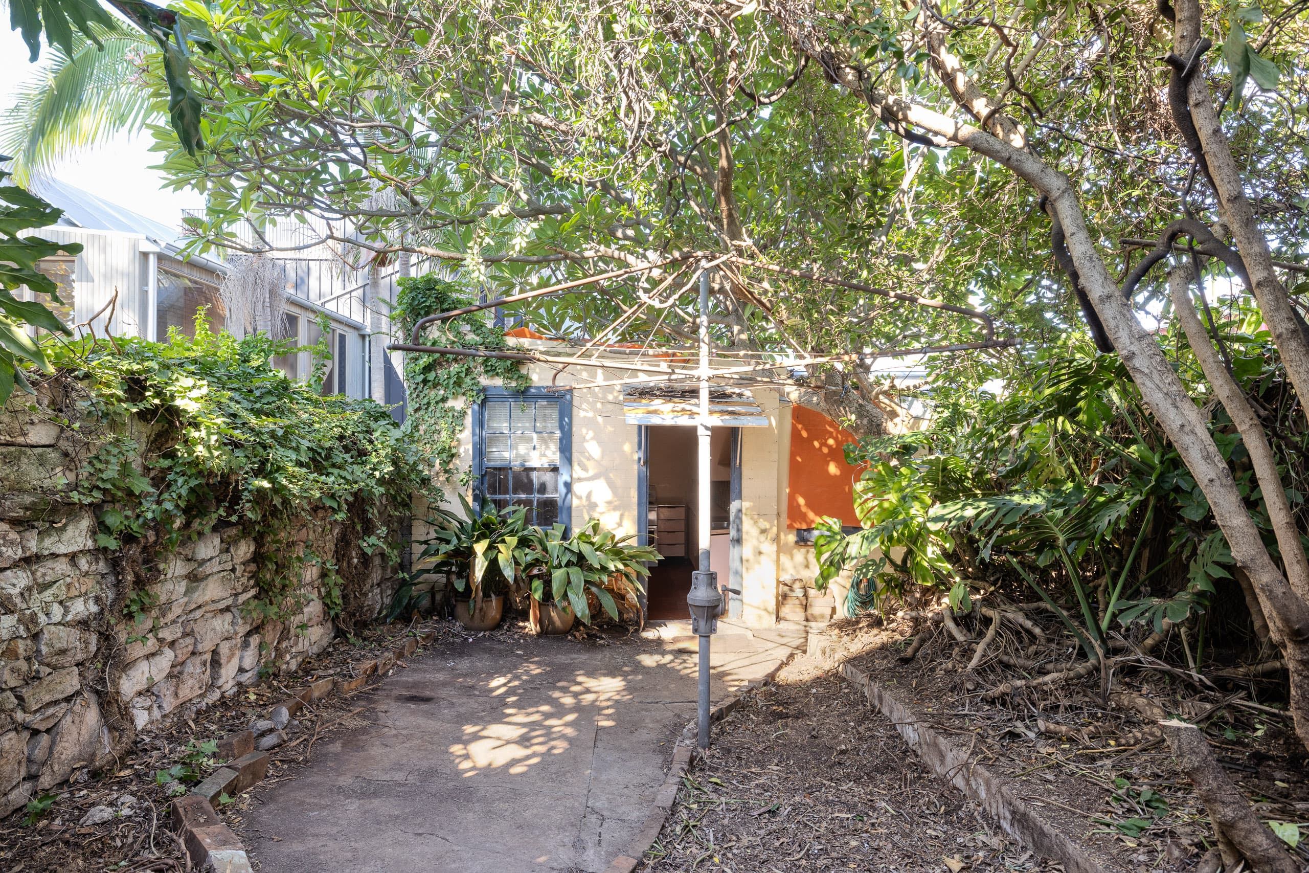 115-117 Evans Street, Rozelle - Thumbnail 5
