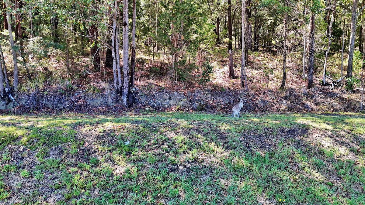 4 Candlebark Court, Lakewood, Lakewood - Thumbnail 6
