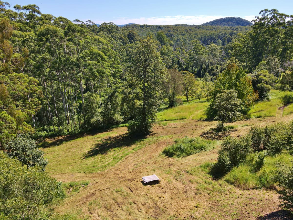 824 Batar Creek Road, Batar Creek, Batar Creek - Thumbnail 4